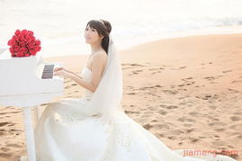 新摄会 用视觉艺术诠释爱的永恒